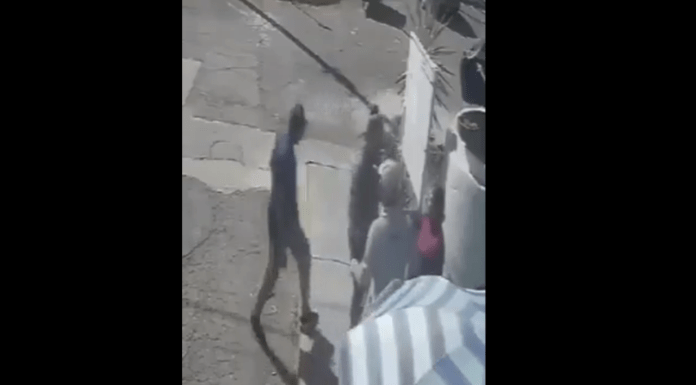 #VIDEO | #México: Sujeto ataca a abuelita y a su nieta por que le pidieron que recogiera los deshechos de su perro