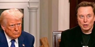 Surgen rumores de la salida de Elon Musk del gabinete de Donald Trump; esto se sabe