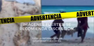 #Video #ImágenesFuertes | Hallan restos de turista estadounidense ahogado en la playa de Cancún; esto se sabe