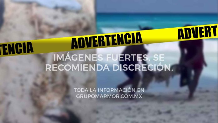 encontradoenelmarCancún