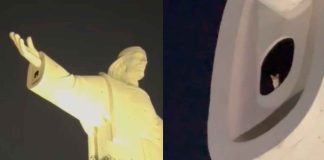 #Video | Gato sorprende en redes tras ser captado en la cima de la estatua del Cristo de la Concordia en Bolivia
