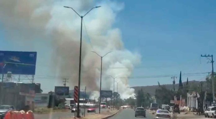 #VIDEOS | Ciudadanos alertan sobre fuerte incendio de pastizal al poniente de Morelia