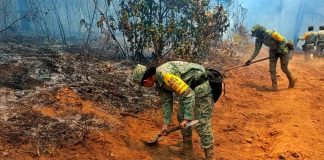 Ejército Mexicano aplica Plan DN-III-E en incendio forestal en el municipio de Zacapu