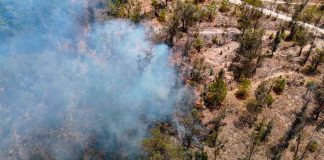 Apagan brigadas 14 incendios forestales en Michoacán: Cofom