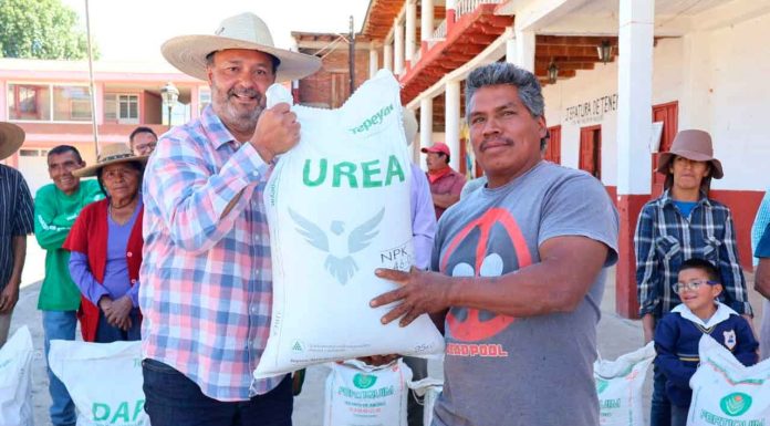 Julio Arreola cumple con el campo: entrega fertilizantes en Huiramangaro