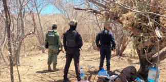En Tierra Caliente, localizan 3 campamentos clandestinos