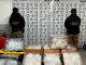 En Baja California se ejecutaron dos cateos y se incautaron diversos paquetes con metanfetamina y cocaína