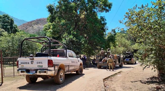 Desactivan cuatro minas terrestres en Chinicuila