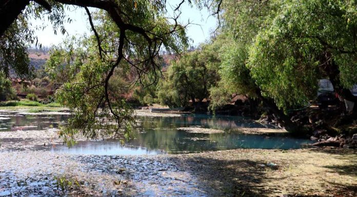 Se refuerza vigilancia en áreas protegidas de Morelia: Proam