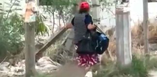 #VIDEO | Mujer es captada arrastrando cruelmente a un gatito en las calles de Monterrey; exigen justicia