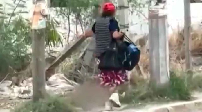#VIDEO | Mujer es captada arrastrando cruelmente a un gatito en las calles de Monterrey; exigen justicia