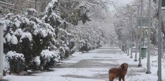 #Viral #VIDEO | Se reporta nieve en #México en plena primavera, las autoridades se mantienen alertas