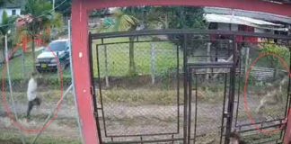 #VIDEO | Menor logra escapar, con sus manos atadas, de pastor cristiano que habría abusado de ella