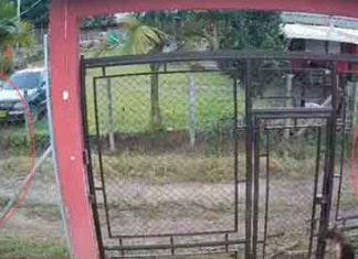 #VIDEO | Menor logra escapar, con sus manos atadas, de pastor cristiano que habría abusado de ella