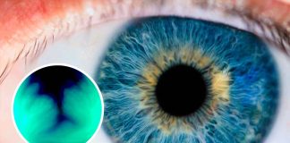 Descubren en un experimento un nuevo color jamás visto por el ojo humano