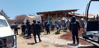 SSP desactiva en Hidalgo un palenque clandestino