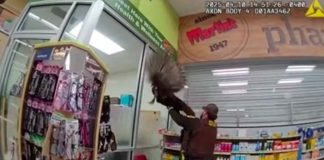 #Internacional #Video | ¡Caos con plumas! Un pavo salvaje irrumpe en una farmacia y desata una escena digna de comedia