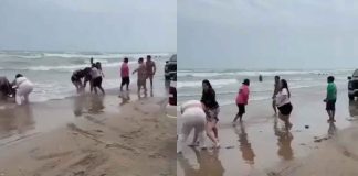#Viral #VIDEO | Caos en la costa, turistas protagonizan riña masiva en plena temporada vacacional #México