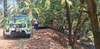 Hallan cadáver calcinado en huerta de Peribán