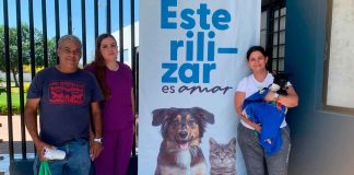 Extienden campaña de esterilización animal en Zamora