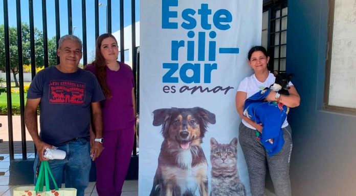 Extienden campaña de esterilización animal en Zamora