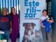 Extienden campaña de esterilización animal en Zamora
