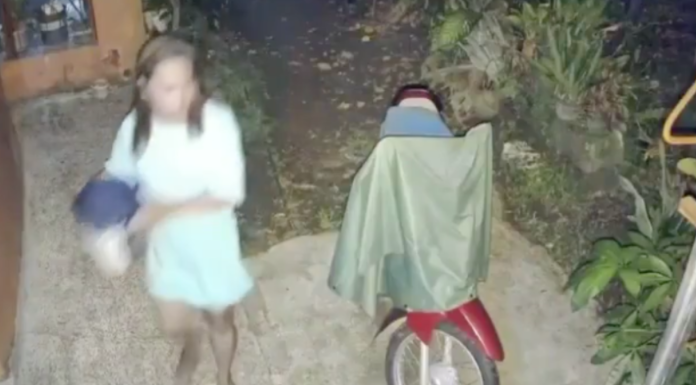 #VIDEO | Mujer lanza agua hirviendo al perro de su vecino, tras una discusión con el dueño