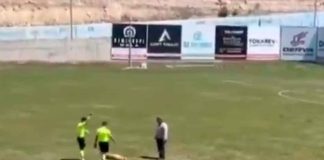 #Video | ¡Firulais ve la roja! Perro invade cancha de futbol y se roba el show #Internacional