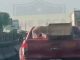 #Video | Genera indignación en redes video de perrito transportado sin medidas de seguridad sobre la autopista México-Querétaro