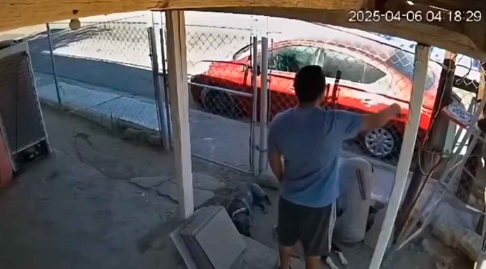 #VIDEO | #EnMéxico: Policías amenazan a hombre por colocar cámaras de videovigilancia en su casa