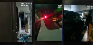 #Video | Tras reporte del C4 de Policía Morelia se logró la detención de un ladrón en la colonia Carlos María de Bustamante