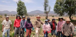 #Video #Imágenes | Supervisa Bedolla trabajos para el rescate del lago de Pátzcuaro