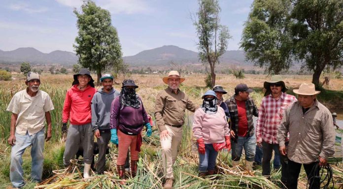 #Video #Imágenes | Supervisa Bedolla trabajos para el rescate del lago de Pátzcuaro