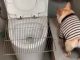 #Video | Perrito entrenado hace sus necesidades en inodoro como un humano; su hazaña genera admiración en redes