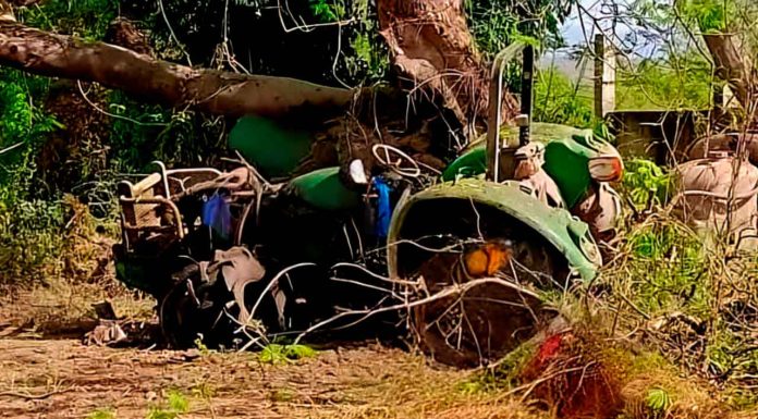 Jornalero herido tras estallido de explosivo tipo mina, en Loma de Los Hoyos