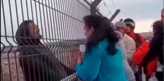 #Video | Hombre asesina a la pareja de su hija y se quita la vida al arrojarse desde un puente