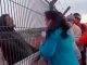 #Video | Hombre asesina a la pareja de su hija y se quita la vida al arrojarse desde un puente