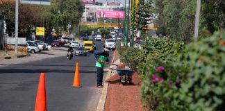 Gobierno de Morelia sigue embelleciendo las áreas verdes de la ciudad