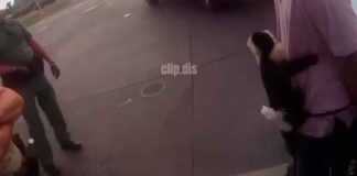 #Video | Detienen a hombre que robaba autos acompañado de su mono mascota