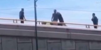 #Video | Confusión en intento de rescate en puente; policías someten al que pretendía ayudar