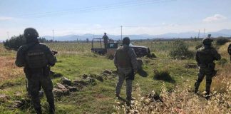 El Gabinete de Seguridad del Gobierno de México informa acciones relevantes del lunes 14 de abril de 2025