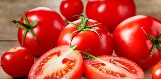 Buscará Gobierno Federal acuerdo con Estados Unidos para evitar el arancel al jitomate mexicano