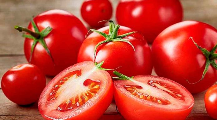 Buscará Gobierno Federal acuerdo con Estados Unidos para evitar el arancel al jitomate mexicano