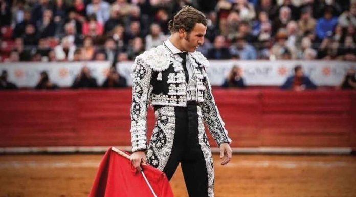 Toreros advierten riesgo de desaparición de las corridas en todo el país por reformas prohibitivas como las de CDMX y Michoacán