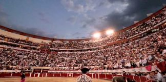 Aguascalientes protege las corridas de toros, gallos y charrería; son declarados patrimonio cultural