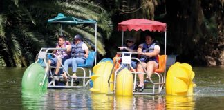 #Imágenes | Vacaciones en Morelia, ¡animales asombrosos y experiencias únicas en el Zoológico!