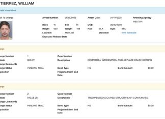 Detienen al actor William Levy en Florida; enfrenta dos cargos