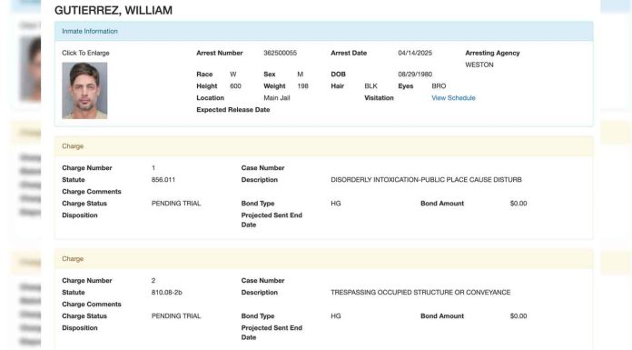 Detienen al actor William Levy en Florida; enfrenta dos cargos