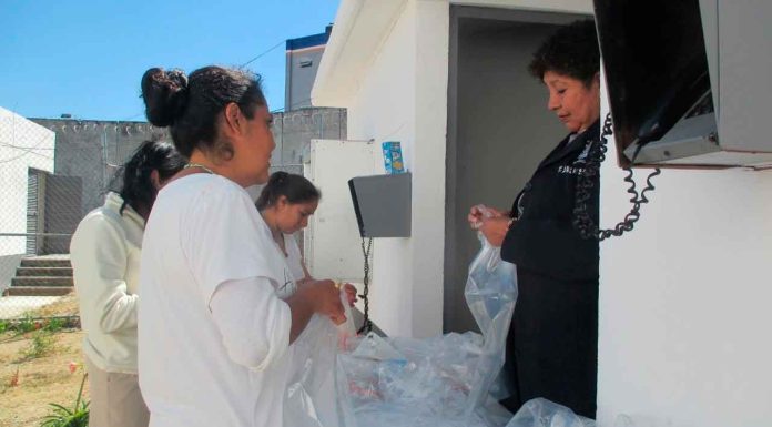 Mujeres privadas de la libertad cultivan setas en Centro Penitenciario de Zitácuaro