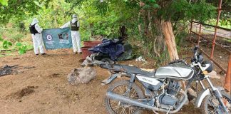 Asegurados 400 kg de metanfetamina en Buenavista: SSP